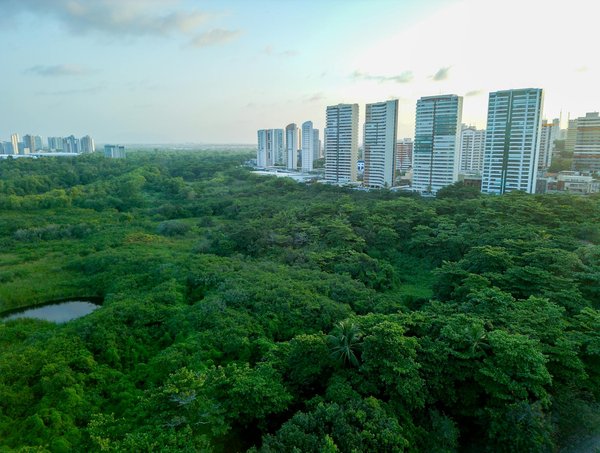École Écologique : Adopter des Initiatives Durables pour Transformer l'Éducation